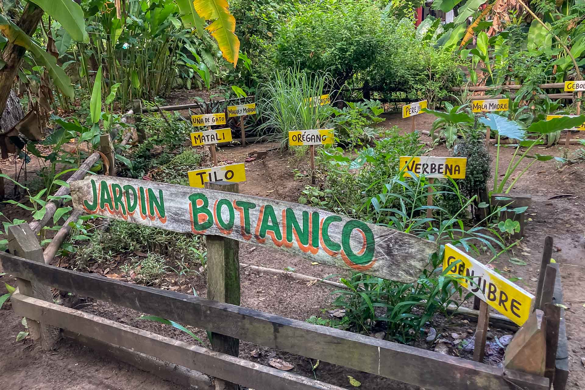 Jardin Botanico