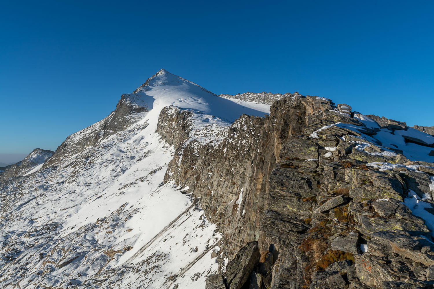 Der Felsgrat zum Rheinwaldhorn